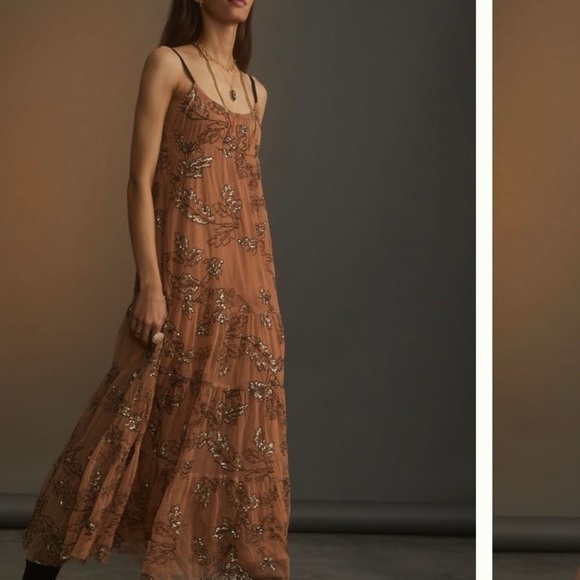 Anthropologie Dresses & Skirts - Anthropologie Sequined Tuille Maxi Dress | Size L